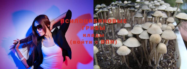 хмурый Гусь-Хрустальный