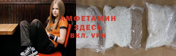 хмурый Гусь-Хрустальный