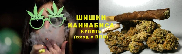 хмурый Гусь-Хрустальный