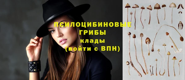 наркотики Гусев