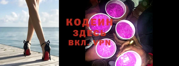 хмурый Гусь-Хрустальный