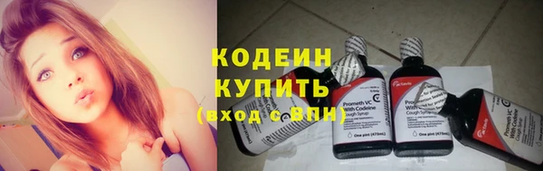 хмурый Гусь-Хрустальный