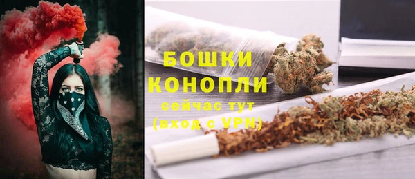 хмурый Гусь-Хрустальный