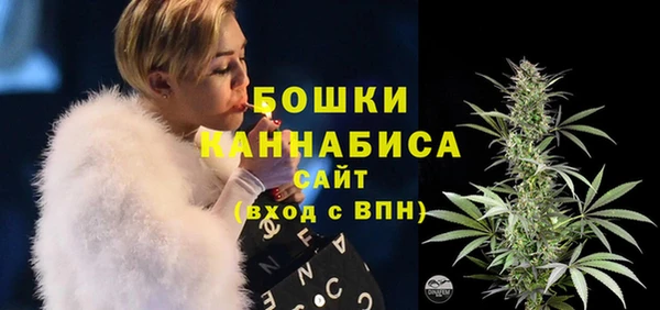 хмурый Гусь-Хрустальный