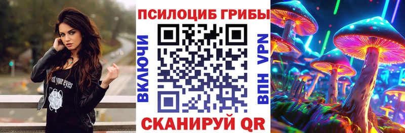 Псилоцибиновые грибы Psilocybe  Купить  Очёр 